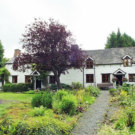 Glencoed B&B Wrexham Exterior foto