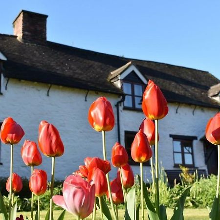 Glencoed B&B Wrexham Exterior foto