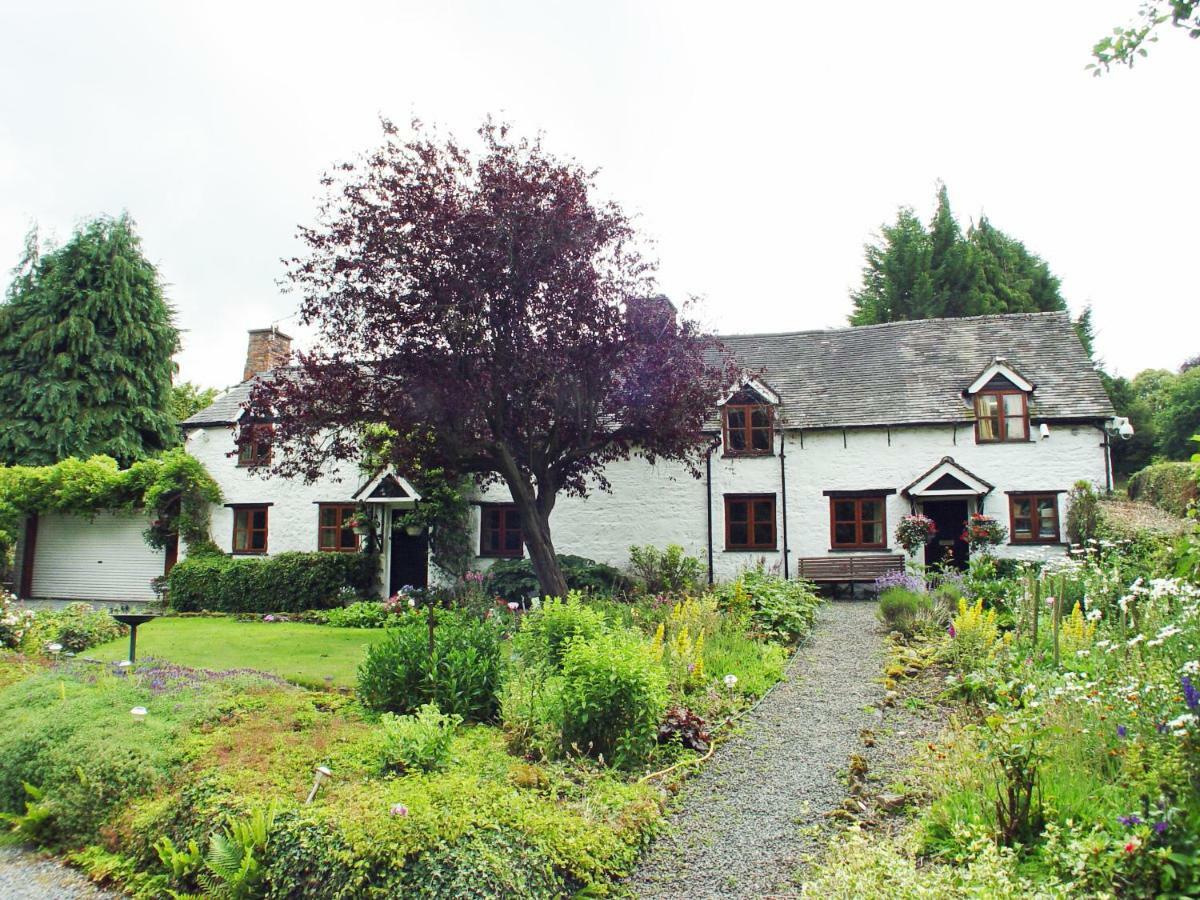 Glencoed B&B Wrexham Exterior foto